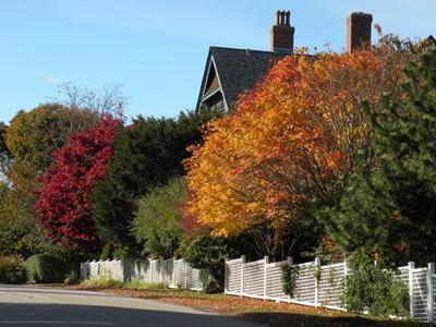 Exactly how you'd picture a sunny, Fall day in New England