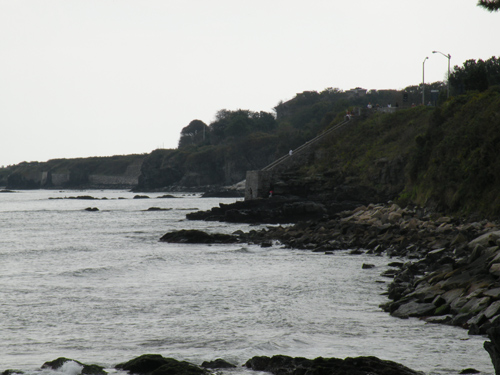 newport cliff walk photos