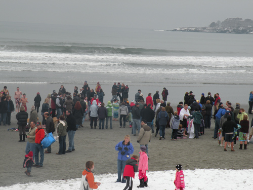 polar bear plunge