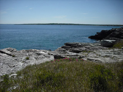 ocean drive newport ri