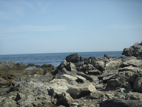 newport cliff walk