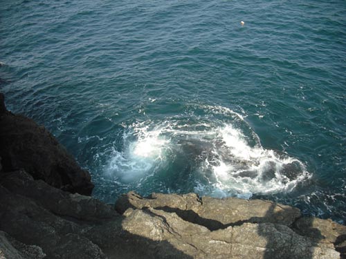 newport cliff walk