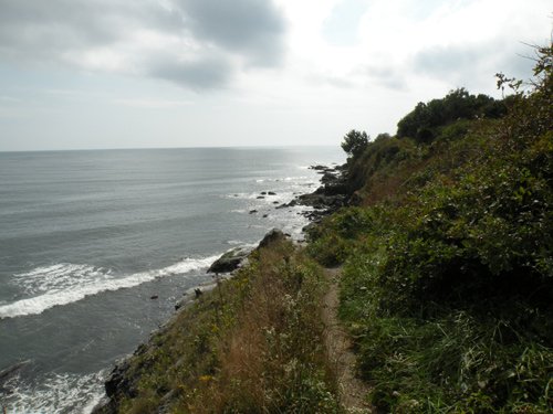 newport cliff walk photos