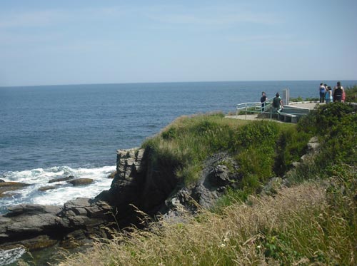 newport cliff walk