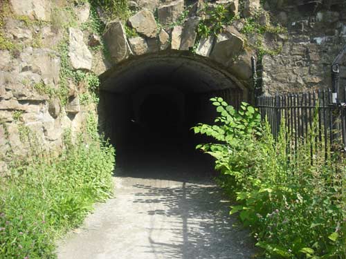 newport cliff walk