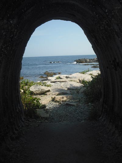 newport cliff walk