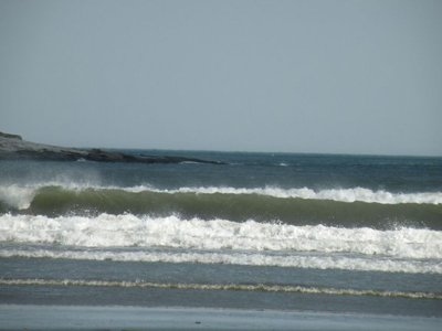 newport ri beaches