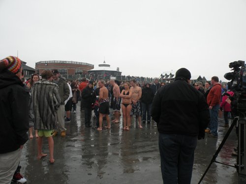 polar bear plunge