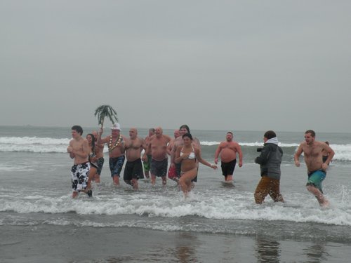 polar bear plunge