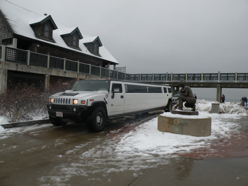 polar bear plunge