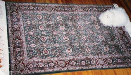 oriental rugs newport