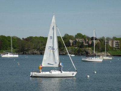 sail newport